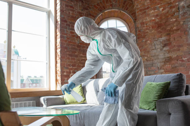 Best Industrial Mold Remediation  in San Jose, CA